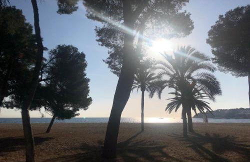 INNER Kompas Palmanova "Adults Only" - Foto 46