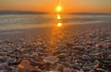 Waterfront retreat with kayaks, walk to the beach - Foto 25