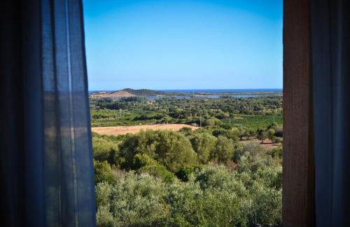 Nurazzolas - Foto 15