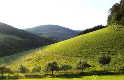 Urlaubs(t)raum - Foto 28