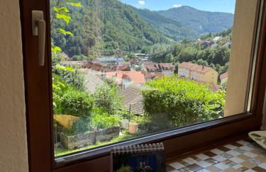 Steiert Panorama Apartments Todtnau - Foto 8