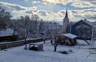 Magisches Wachstein - Foto 80
