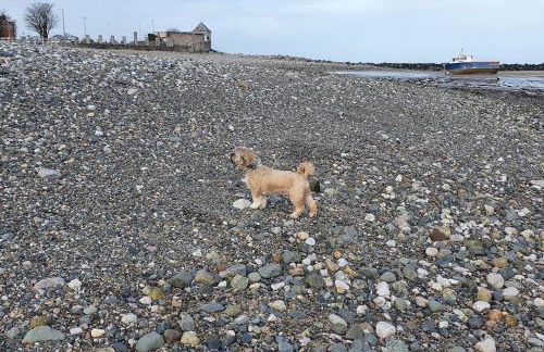 Welcome to the Beach House! - Foto 31