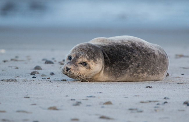 Charming Holiday Home With a Terrace - Photo 26