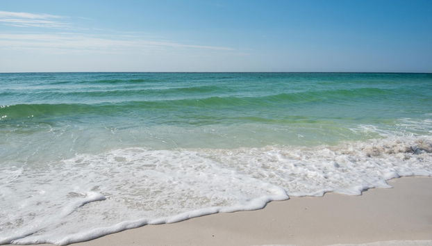 Emerald Dolphin Unit 650 - Foto 2, Imagen principal