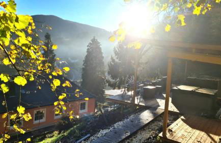 Waldhaus zum gechillten Hirsch in der Natur, bei der Moseltherme Traben-Trarbach - Foto 8