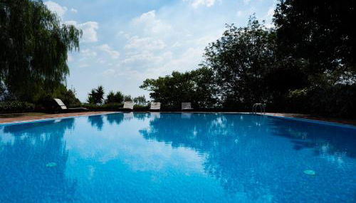 Il palmento - Foto 5