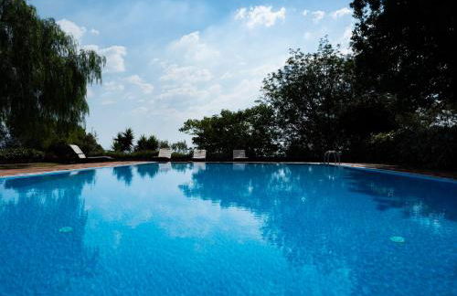 Il palmento - Foto 5