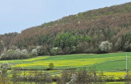 Ferienwohnung Monika - Foto 26