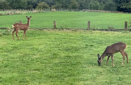 1 Bed in Hexham 82472 - Foto 14