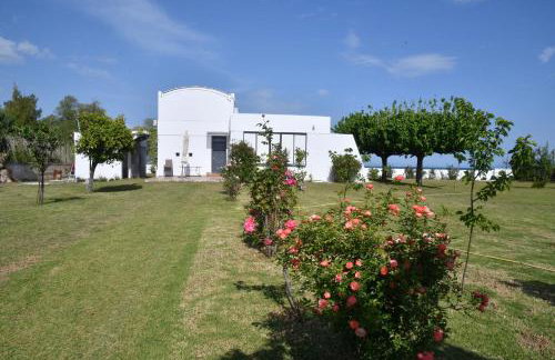 Doctor s estate Χαλκίδα - Photo 63