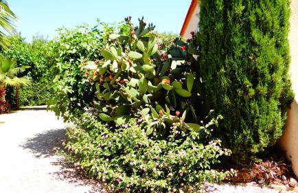 Résidence L'Orangeraie-2-Claira 66530 - Foto 20