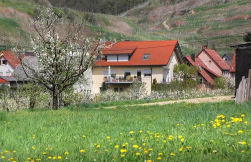Ferienwohnung Graf - Foto 11