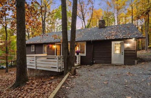 Cozy Bear-Themed Mountain Cabin, Relaxing Hot Tub - Foto 22