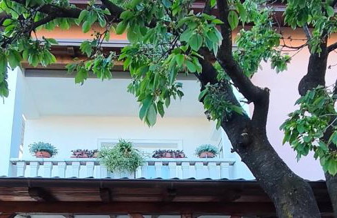 Apartman NADA - Foto 6