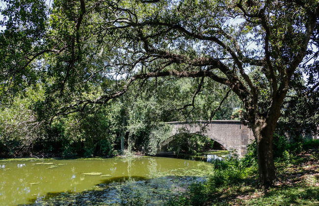 Modern 1-BD Near French Quarter | Walk to Superdome - Foto 19