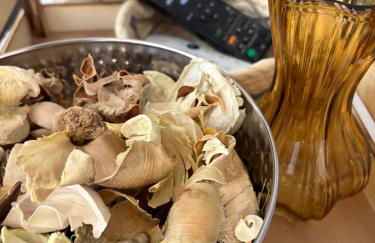 Casa Carturan - Una seconda casa a Latina centro - Foto 31