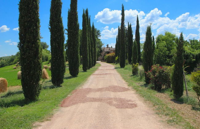 Villa in San Venanzo With Pool and Sauna - Foto 32