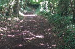 Le Cottage de L Abbaye - Photo 54