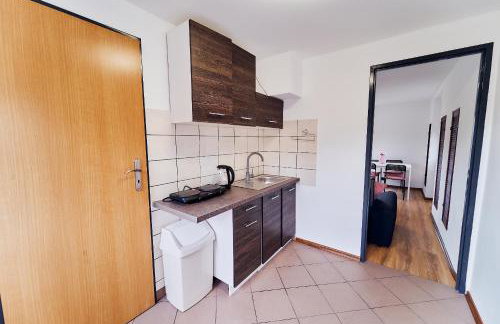 Domki Nad Stawami Apartament - Foto 26