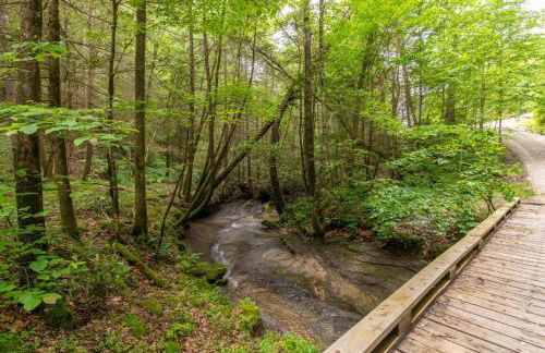 WiFi & Minimalist - Cozy Creek -Red River Gorge KY - Photo 30