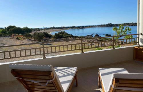 Houmas Apartments - Photo 16