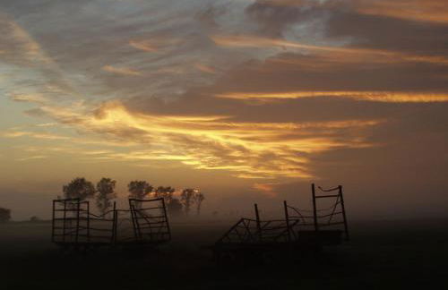 Hofboddenblick - Foto 21