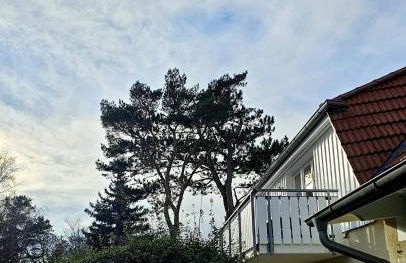 Seeadler II - Foto 15