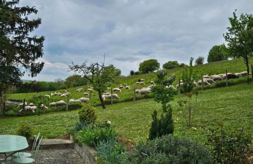 Le Côtier - Foto 24