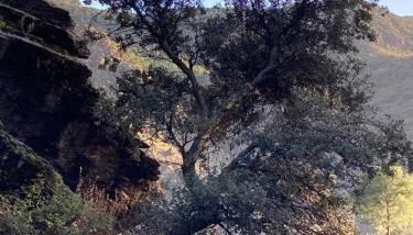 Casa Barbara - Foto 2