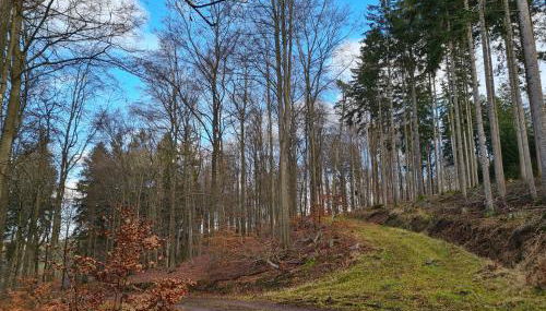 Ferienhaus Johann - Foto 5