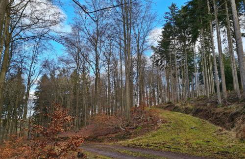 Ferienhaus Johann - Foto 5