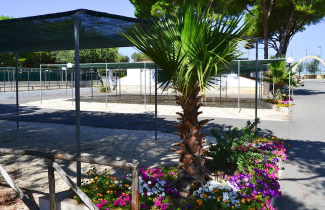 Bungalow in a Resort in Lido del Sole With Terrace - Photo 17