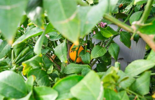 Vegas Hideaway with Jacuzzi & Pool by Strip - Foto 52