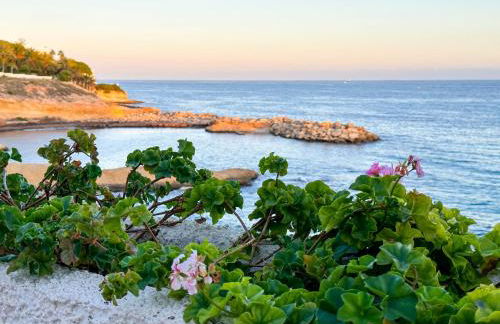 Orilla de Mar: Vistas de ensueño en Cala Almadraba - Photo 38
