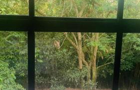 Refúgio encantador em meio à natureza - Foto 22