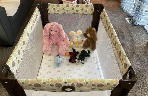 Emerald City 3 Bedroom 1 bath Home - Photo 26