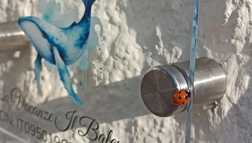 Il Balenottero - Photo 2