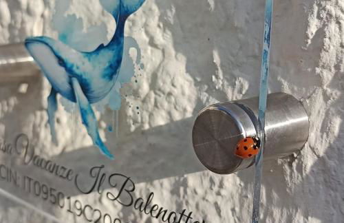 Il Balenottero - Photo 2