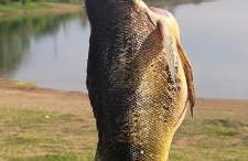 Rancho Serra do Ouro - Foto 22