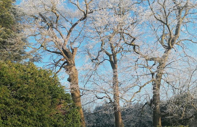 Stunning 1-bed Cottage With Hot Tub in Ross-on-wye - Foto 26