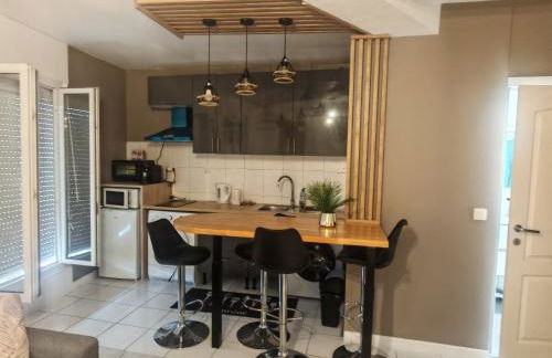 F1 220 metre de la GARE - Foto 5