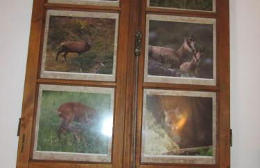 Casa Bamby - Foto 80