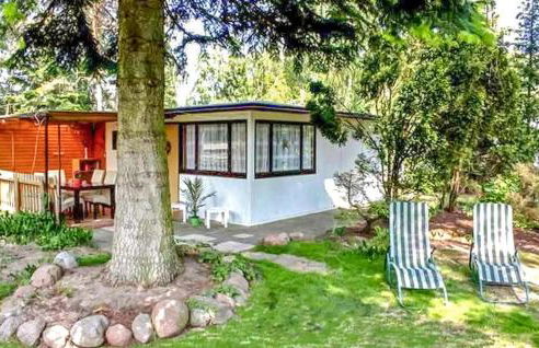 Ferienhaus Ueckermünde Bellin - Foto 5