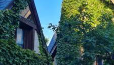 La Casita de Navacerrada - Foto 3