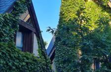 La Casita de Navacerrada - Foto 3