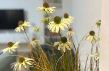 Domus Lucia - Foto 49