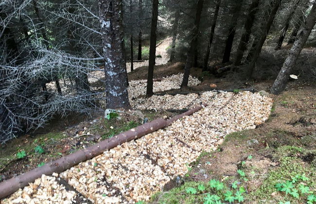 The Crib Rocks - Foto 38