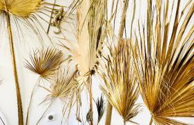 Les Gîtes de la Chapelle 3 - Photo 31