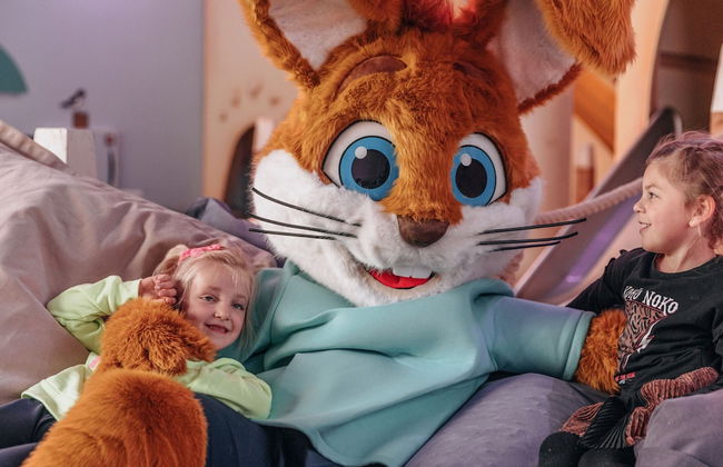 Spacious Bungalow with Dishwasher near Hunebedcentrum - Photo 27